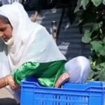 Sericulture in Kashmir: Bandipora transforms rural livelihoods