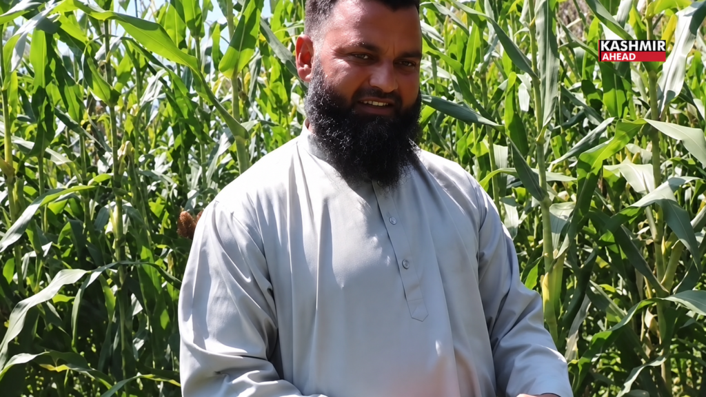 How a Pulwama farmer is rewriting Kashmir’s winter feed story