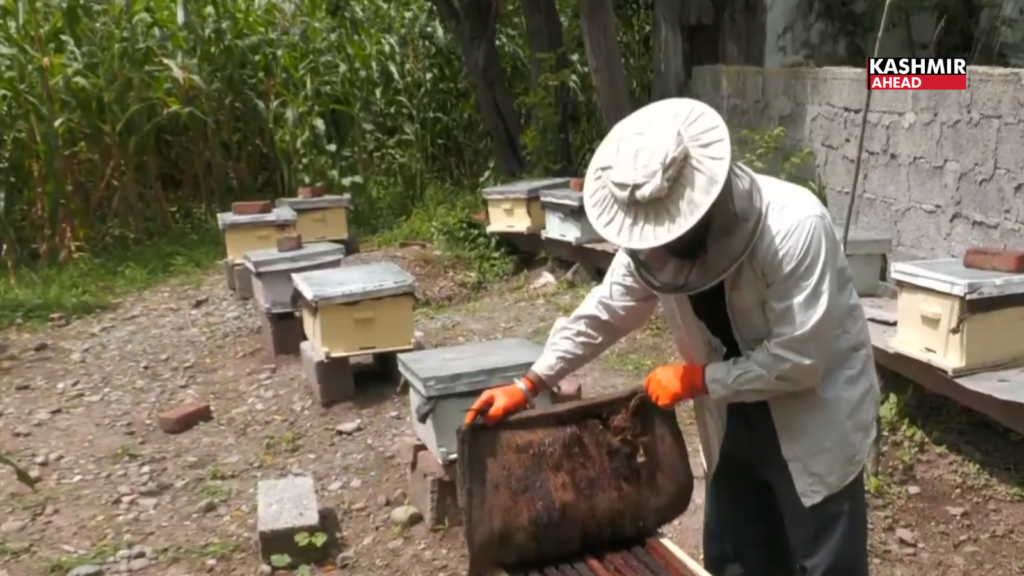 Poonch farmer turns to organic beekeeping with agriculture department support, reaps rich rewards