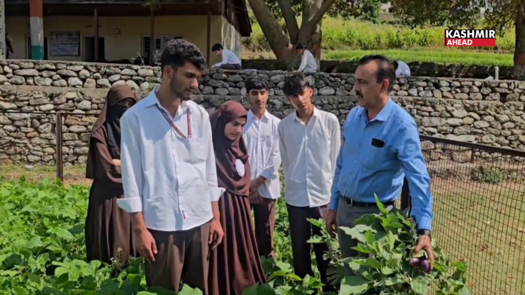 Turning wasteland into a thriving kitchen garden