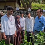 Turning wasteland into a thriving kitchen garden