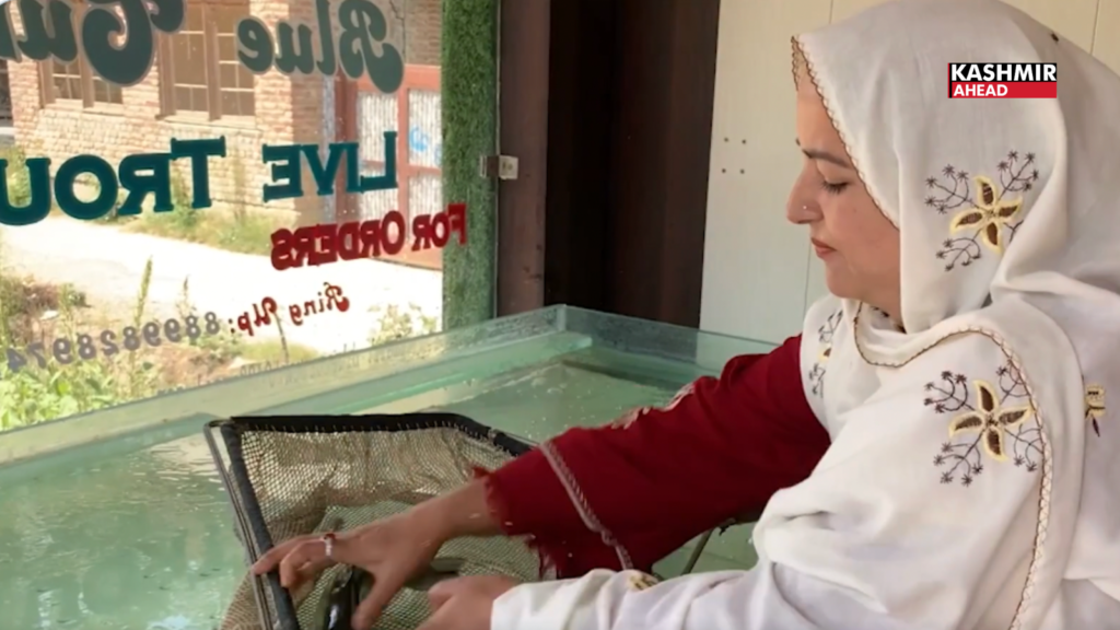 From cold streams to entrepreneurship: Andleeb Zehra builds a trout farm in Budgam