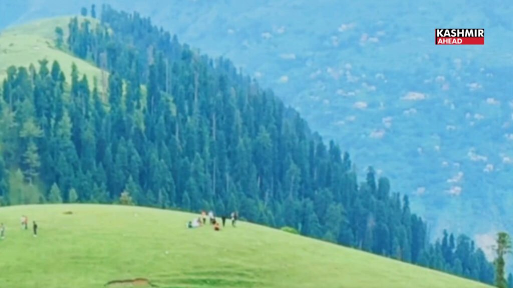 Tourism Festival