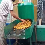 Walnut processing in Banihal gets boost with HADP De-Husking machines