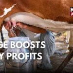 HADP Silage Unit Boosts Dairy Farming and Farmer Incomes in Kashmir