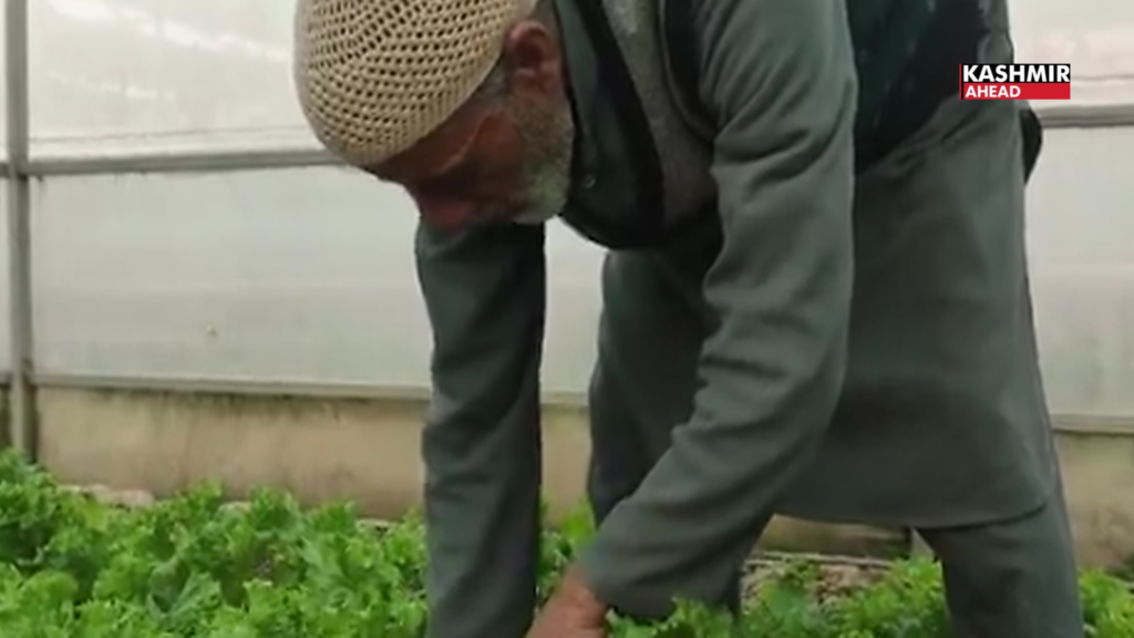 Pulwama farmer sets up mini cold storage to reduce vegetable wastage and boost farming
