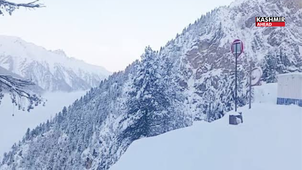 Fresh snowfall in Gulmarg’s Affarwat, rain brings down temperatures across Kashmir