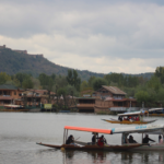 Tourists enjoy Shikara ride on Dal Lake amid pleasant weather