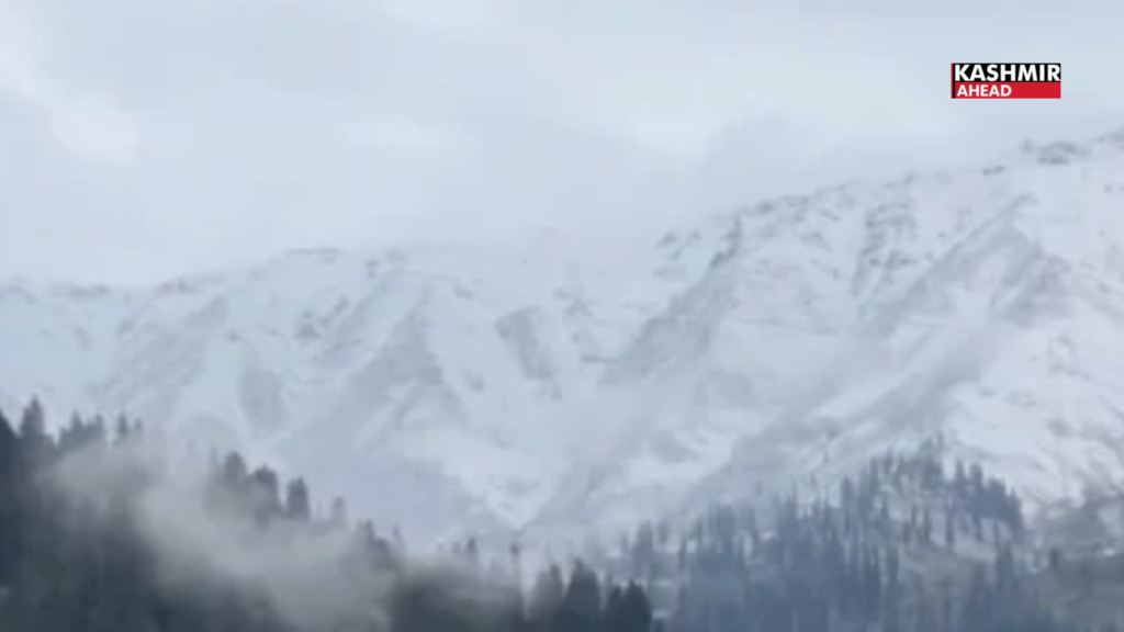 Fresh snowfall blankets Gulmarg peaks, adding to Kashmir’s winter charm