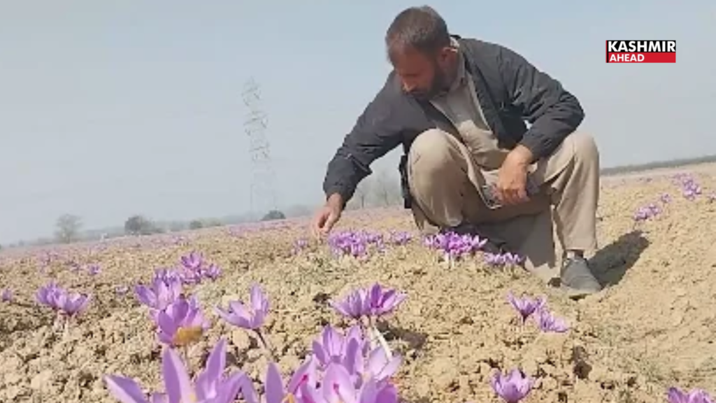 Pampore Saffron farmer  welcomes 24th PM-KISAN instalment
