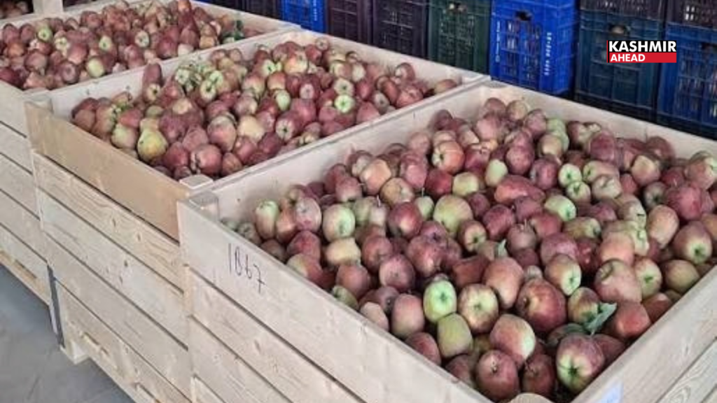 Cold storage gives Kashmir’s apple growers a lifeline against post-harvest losses and distress sales