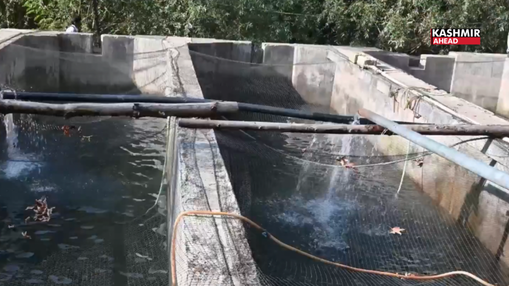 Kishtwar youth builds fisheries enterprise under PMMSY