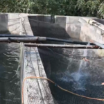 Kishtwar youth builds fisheries enterprise under PMMSY