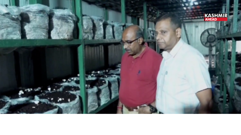 Grow Mushrooms, raise income: Agriculture office holds two-day training in Jammu