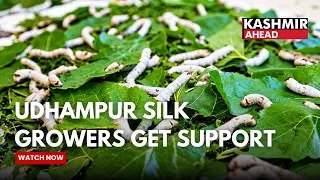 Silk Growers Get 76 New Rearing Sheds in Udhampur