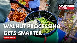 Modern Walnut processing boosts efficiency and farmer opportunities in Kashmir