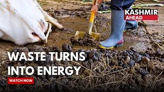 Dhannu Biogas Plant Converts Cattle Waste into Clean Fuel