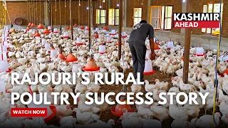 Rajouri’s Rural Poultry Success Story