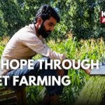 Millet Farming Brings New Hope to Majalta, Udhampur