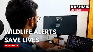 Srinagar Engineer Develops Free Wildlife Alert Platform to Prevent Animal Attacks